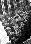 Wall_Art_Alphabet_Photography_Art_ 2303